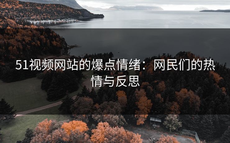 51视频网站的爆点情绪：网民们的热情与反思