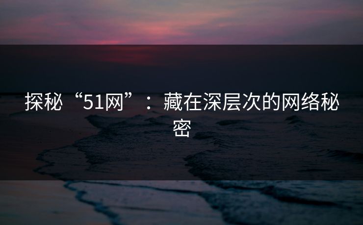 探秘“51网”：藏在深层次的网络秘密