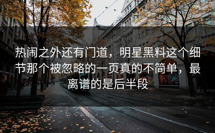 热闹之外还有门道，明星黑料这个细节那个被忽略的一页真的不简单，最离谱的是后半段