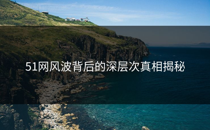 51网风波背后的深层次真相揭秘