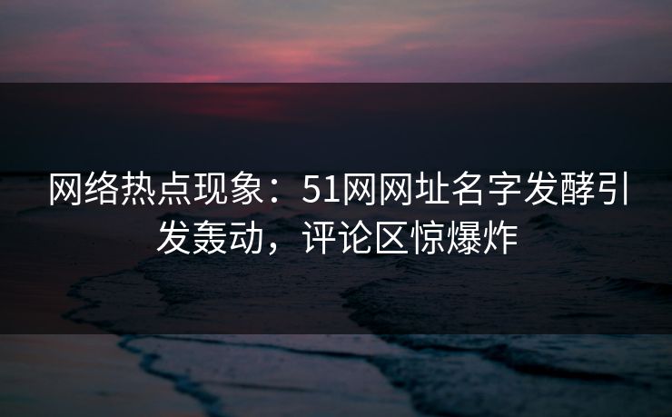 网络热点现象：51网网址名字发酵引发轰动，评论区惊爆炸
