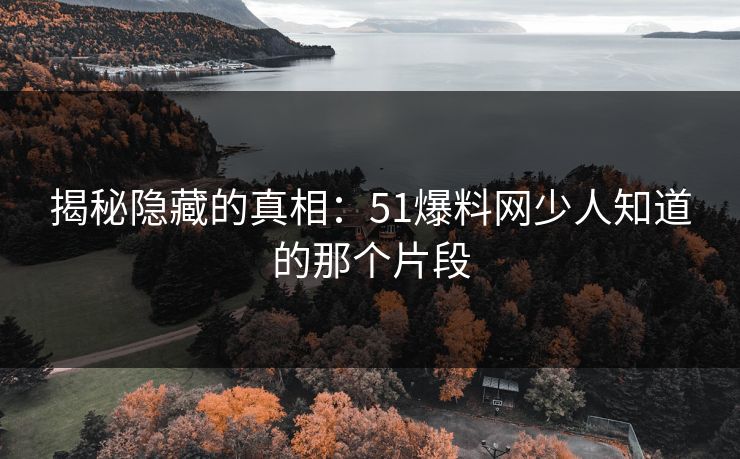 揭秘隐藏的真相：51爆料网少人知道的那个片段